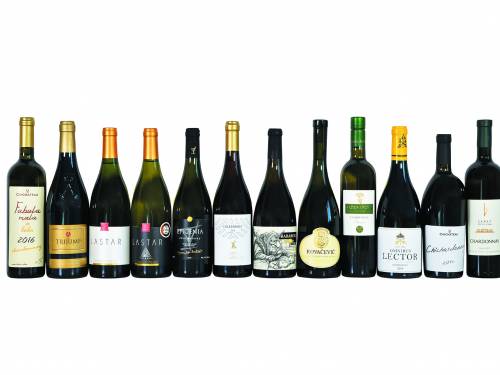 degustacija šardonea srpski vinari na pravom putu