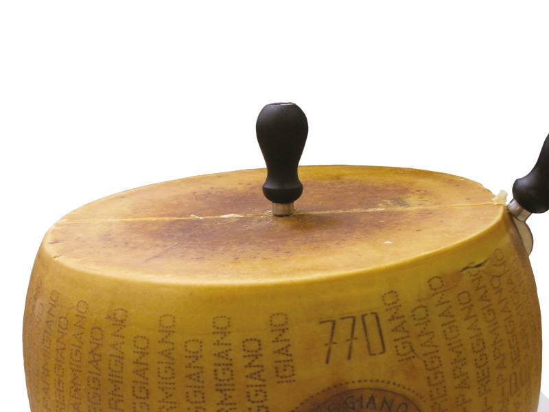 parmezan 38 kila čistog savršenstva