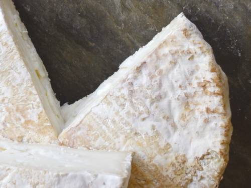 sasvim drugačiji sir