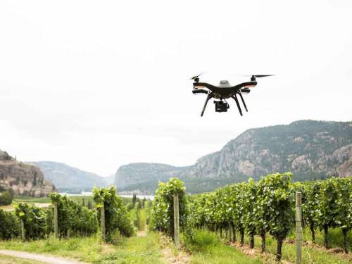 ovo su globalni vinski trendovi za 2020 