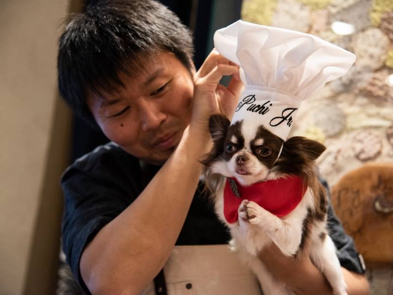 držite psa u restoranu, i isključite muziku 