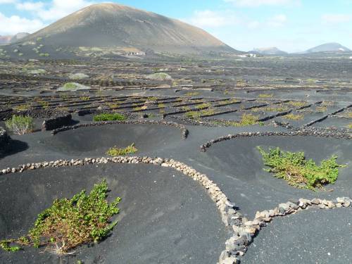 trend vulkanskih vina osvaja evropu