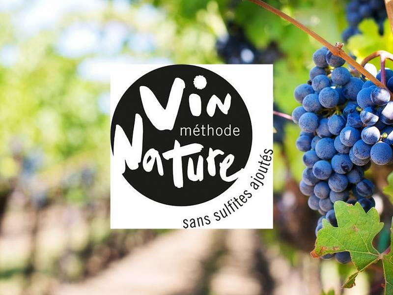 velika promena u francuskom vinarstvu