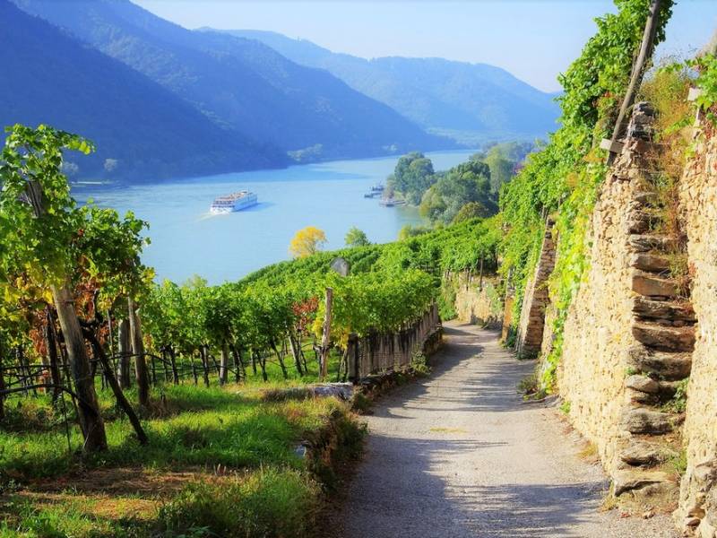 austrija je dobila novu vinsku apelaciju vahau 