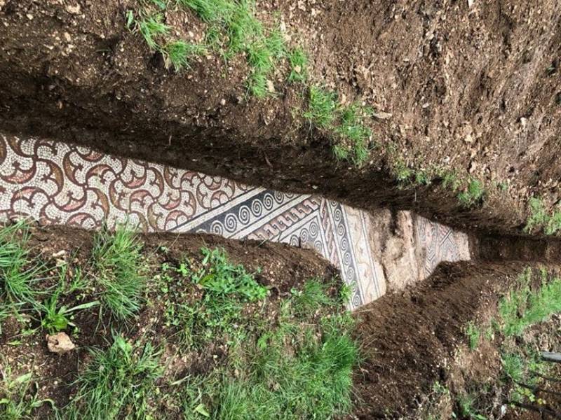 ispod vinograda otkriven očuvan rimski mozaik 