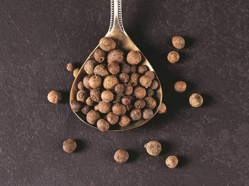 ceo svet u jednom zrnu