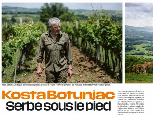 ugledni francuski list pisao o srpskom vinaru