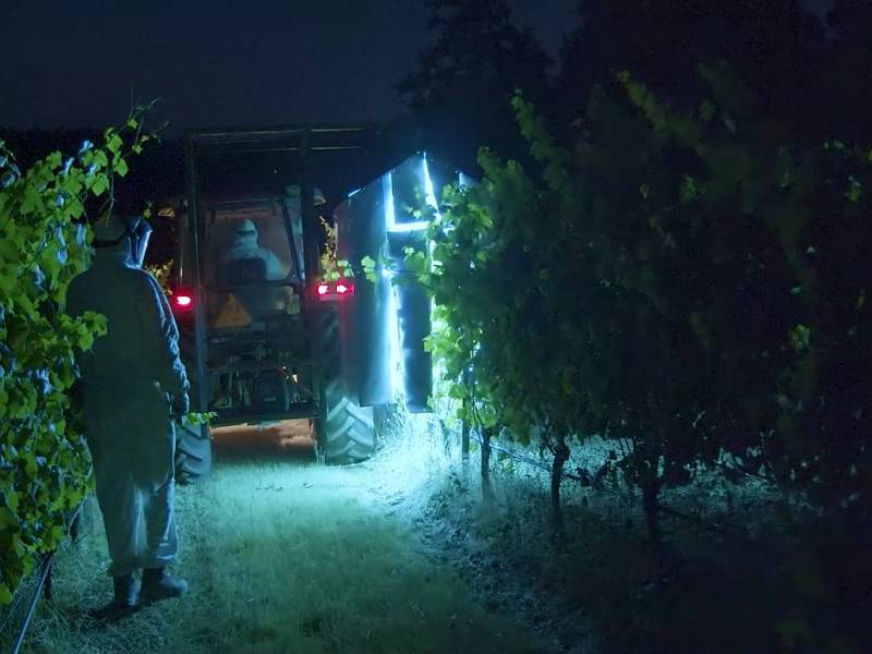 uv svetlost novo oružje u ratu protiv pepelnice