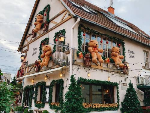 gastro pregled gde su mede iz zemuna 