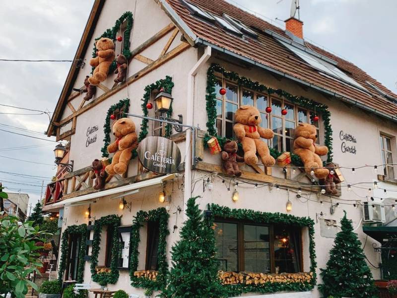 gastro pregled gde su mede iz zemuna 