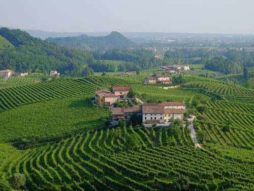 uspešno predstavljeno vinsko blago italije