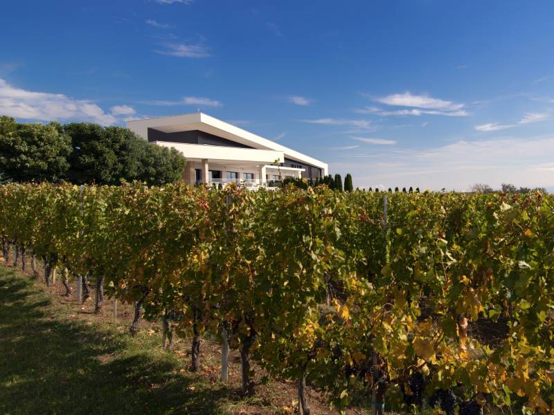 teroar bez kompromisa