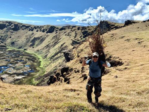 vinograd na kraju sveta
