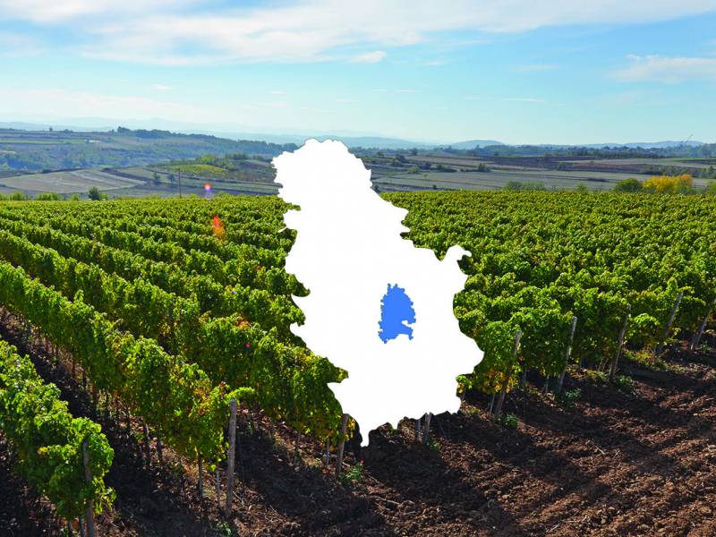 temelji srpskog vinarstva