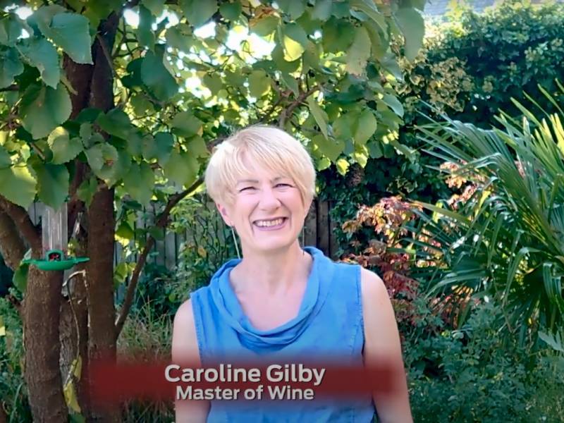 masterklas kerolajn gilbi o vinima iz srbije 