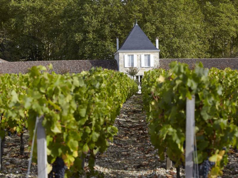 en primeur 2020, treći deo vina leve obale