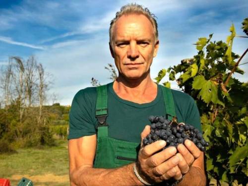 sting vina koja pravim podstiču razmišljanje