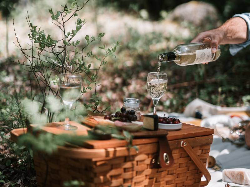 gastro pregled beograd ponovo živi 