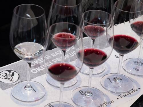 program dana prokupca najbogatiji do sada 