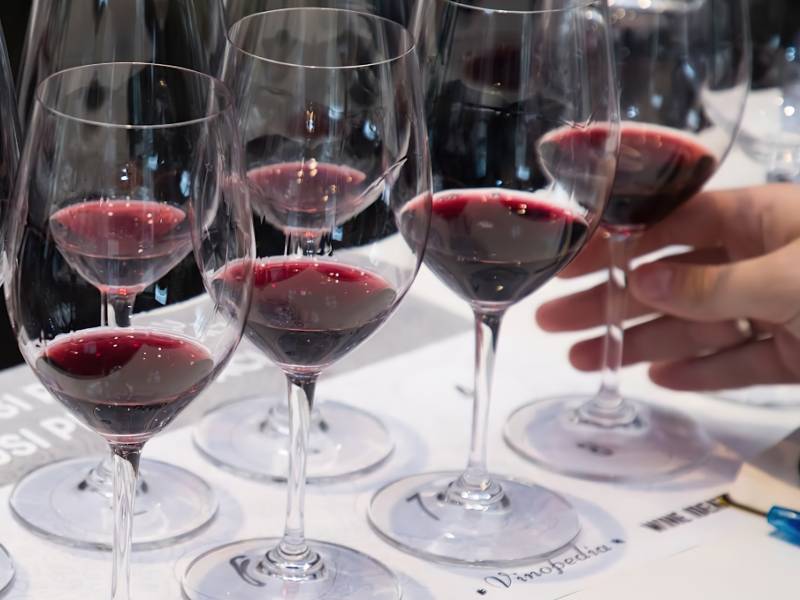 karavan prokupca prolazi kroz srbiju 