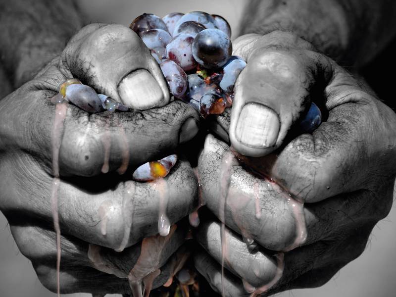 srećan vam dan prokupca 