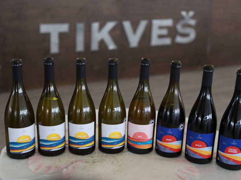 u vinariji tikveš proslavljen je dolazak mladog vina