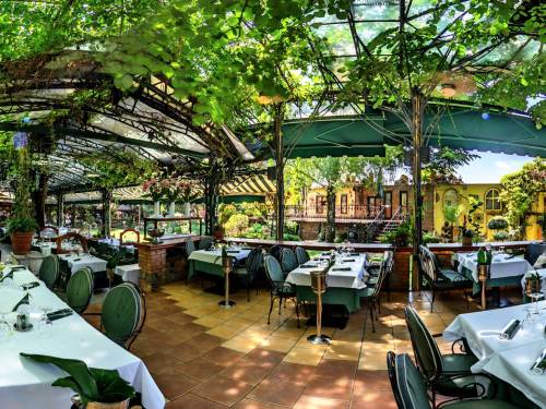 franš slavi 40 godina 