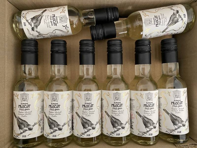 vina fruškogorske kuće komuna poletela u nebo 