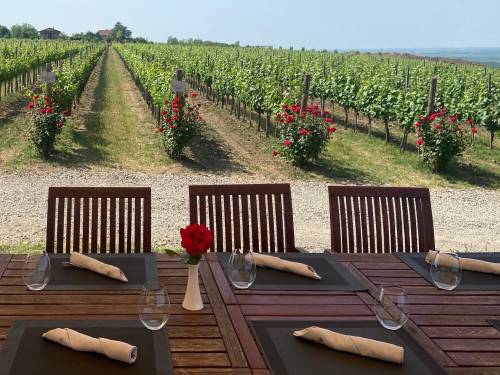 atelje vina šapat ima novi, vrhunski tim