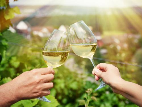 40 vinarija dolazi na festival grašca u novom sadu