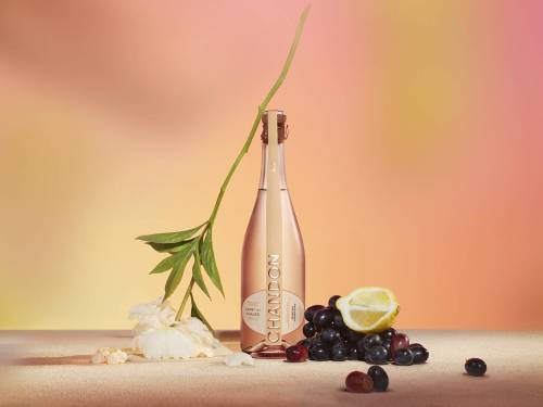 vino sa pesmom cikada