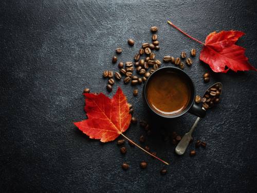 planeta danas slavi međunarodni dan kafe