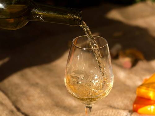 lažna kosovska vina u hrvatskim supermarketima 