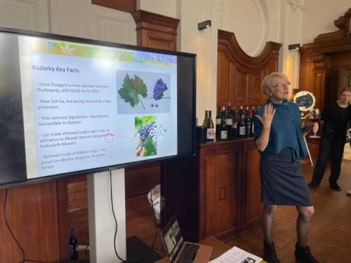 plava zvezda sa dunava