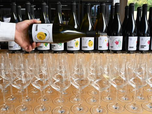 mlado vino u harmoniji sa prirodom