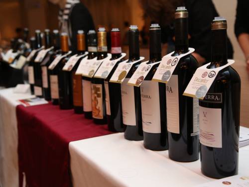 žiri dekantera čile i francuska na tronu