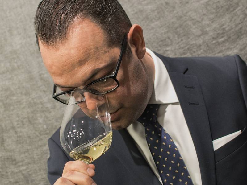 soren polonijus u beogradu obučava buduće šampione