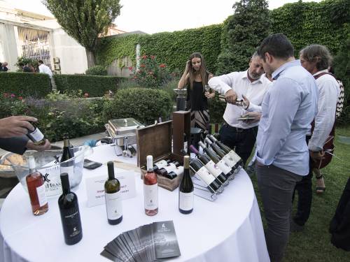 morava i prokupac za vinske znalce iz bordoa