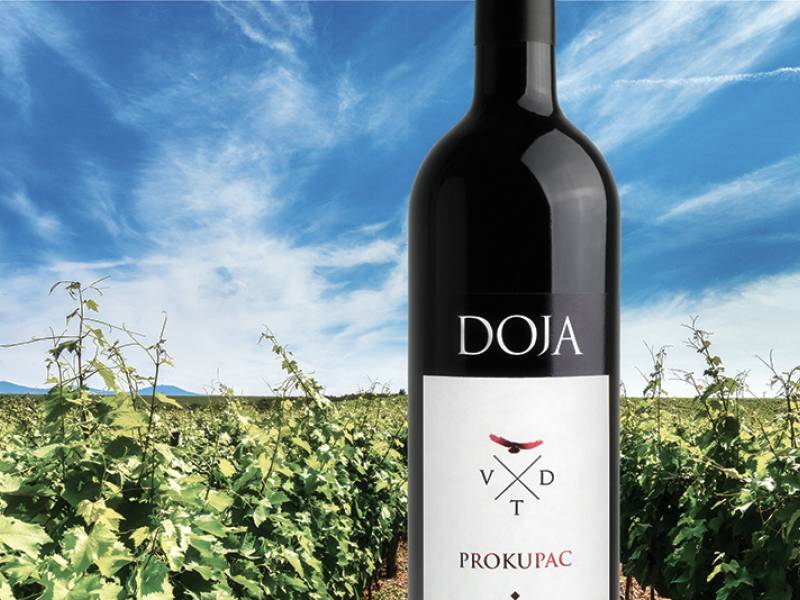 crveno vino godine u srbiji doja prokupac 2015 
