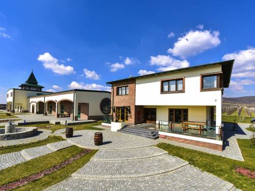 vinarija godine 2017 deurić, fruška gora 