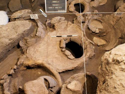 najstarije vino na svetu bilo je crveno i suvo 