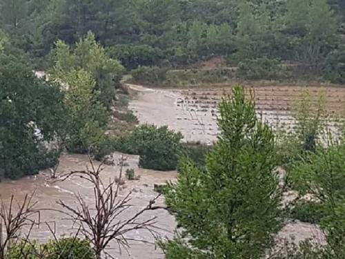 poplava oštetila veći broj francuskih vinograda