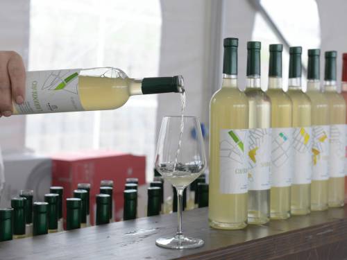 tikveš predstavio mlada vina iz rekordne berbe