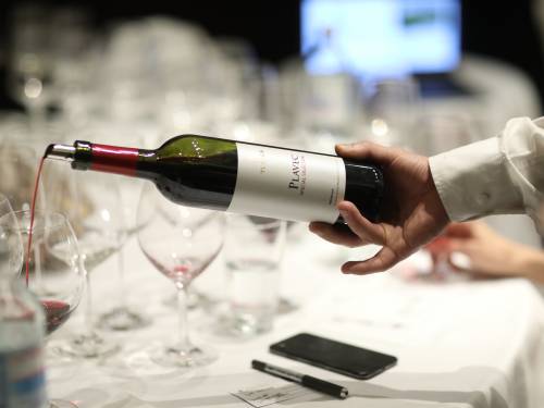 stručno vođenje kroz blago makedonskog teroara