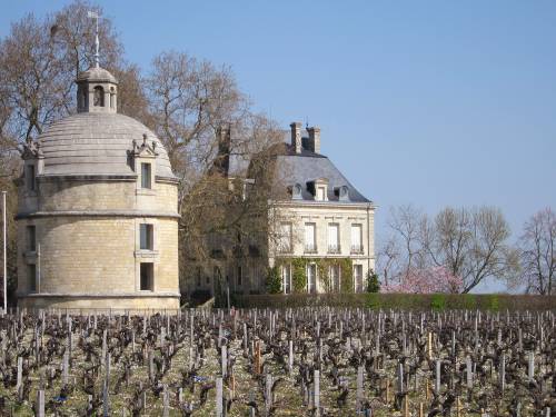 vinarija šato latur dobila organski sertifikat 