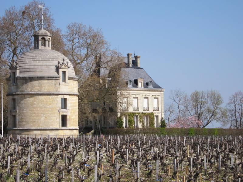 vinarija šato latur dobila organski sertifikat 