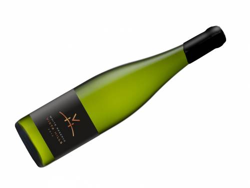 top 10 belih vina pobeda neobičnog grašca