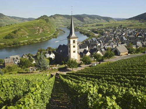 klimatske promene od nemačke prave vinsku velesilu 