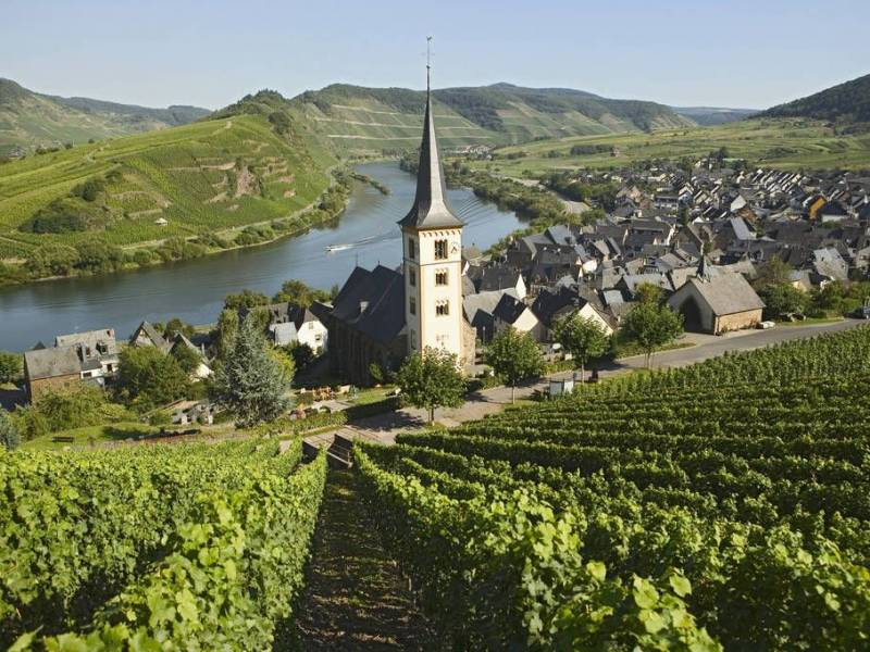 klimatske promene od nemačke prave vinsku velesilu 