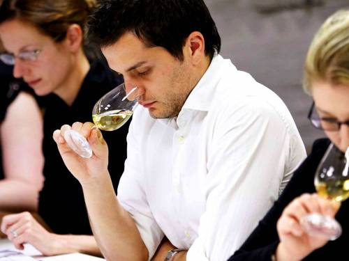 vinarija tikveš postaje regionalni vinski edukator 